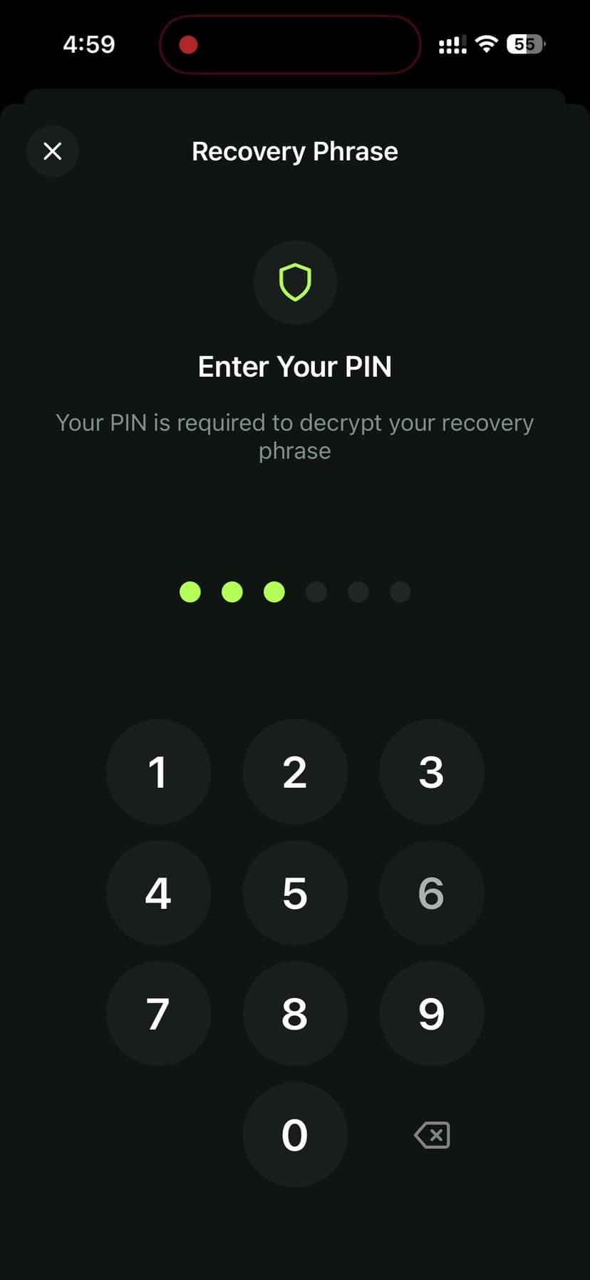 PIN Verification for Recovery Phrase